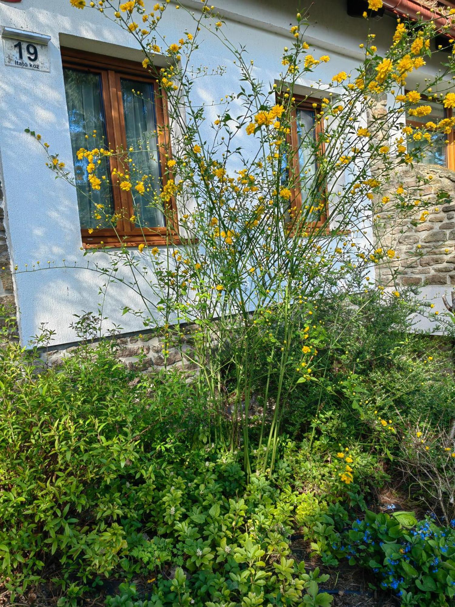 Hanga Vendeghaz Тихань Экстерьер фото